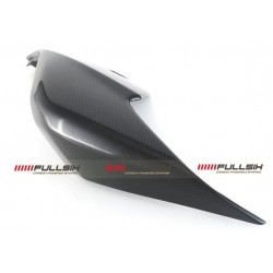 Ducati 1299-959 carbon tail (right side)
