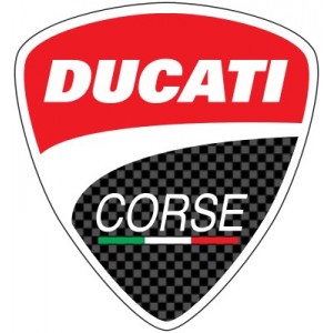Carbone Ducati Performance