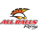 ALL BALLS RACING